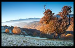 Amanece en Cantexeira