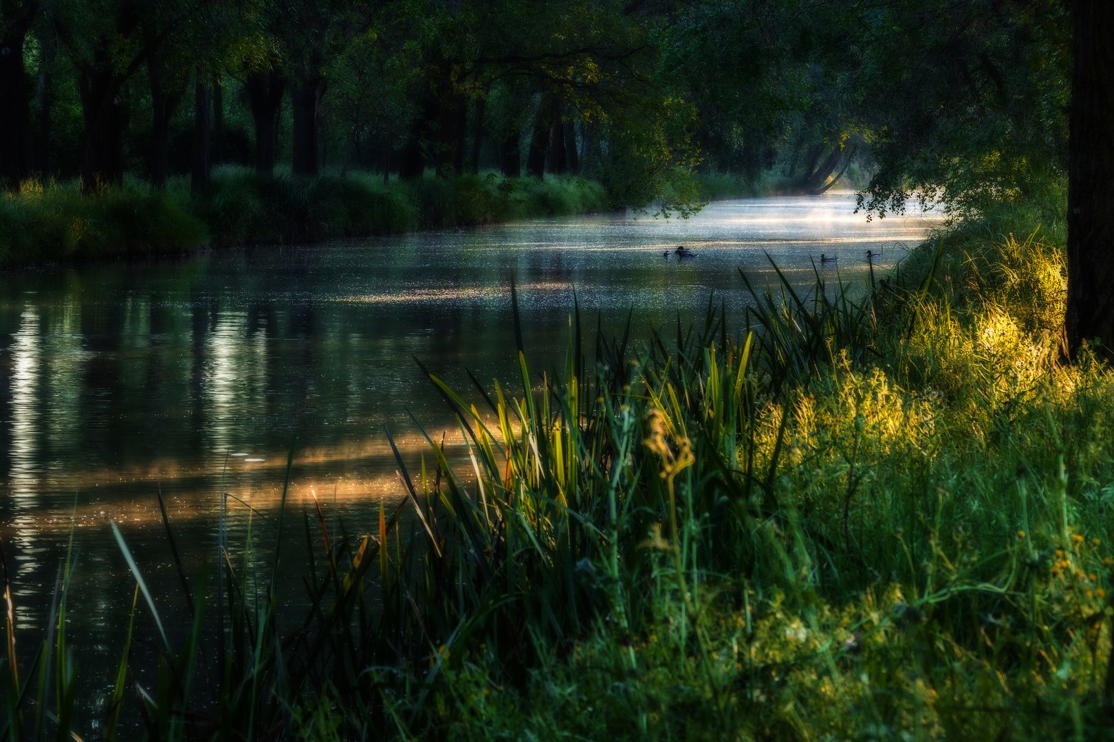 Amanece en el Canal de Castilla