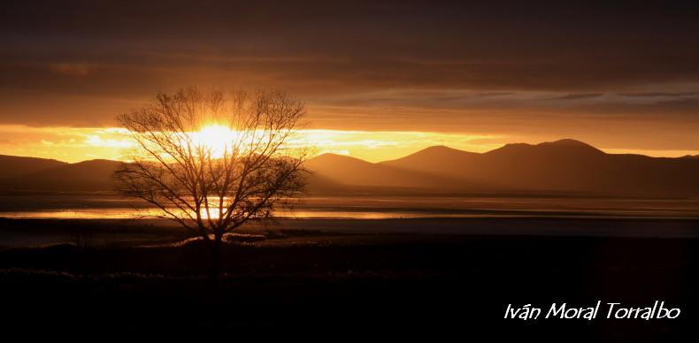 Amanece en Gallocanta