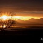 Amanece en Gallocanta