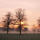 Amanece en Hyde Park