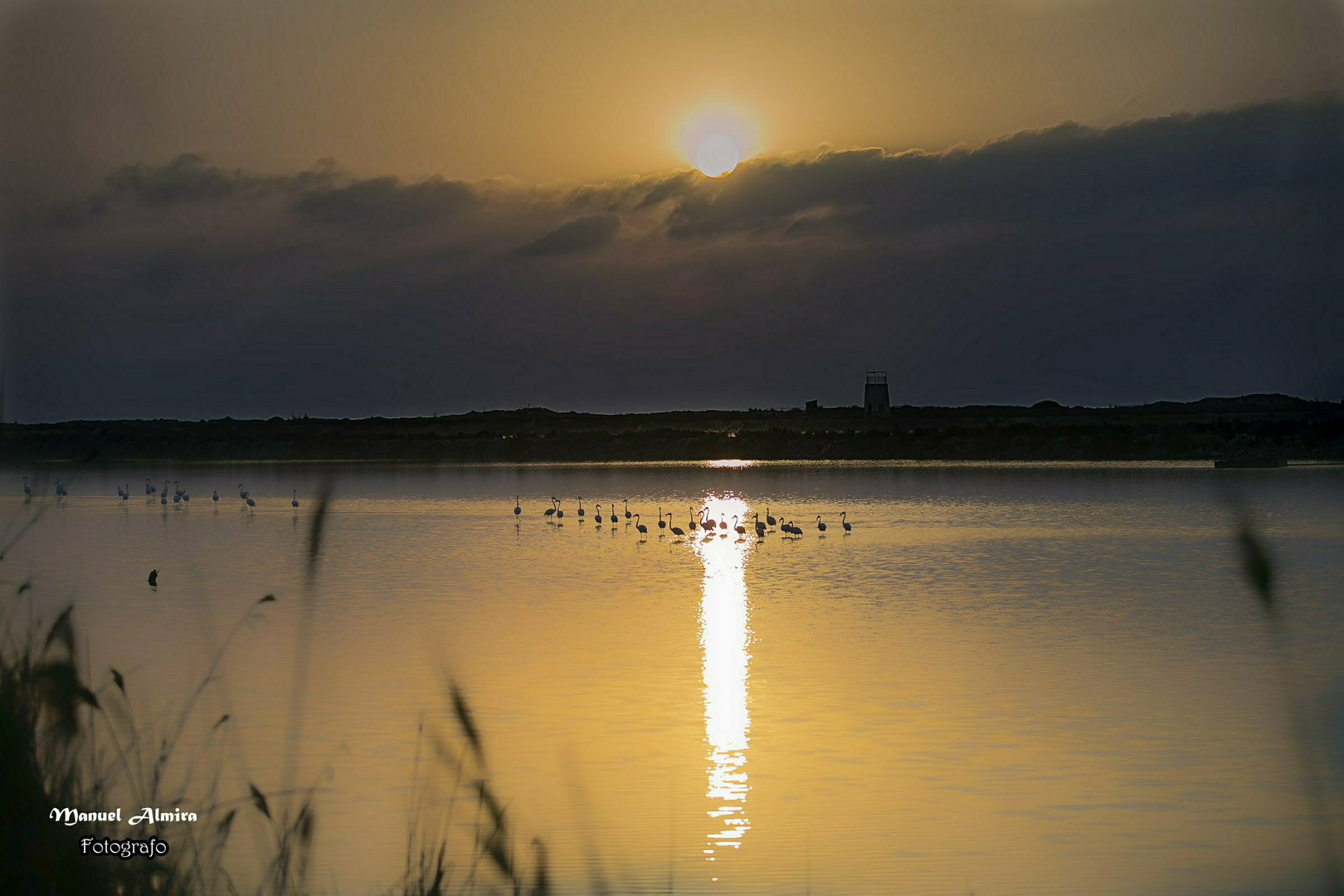 Amanece en la Laguna