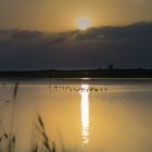 Amanece en la Laguna