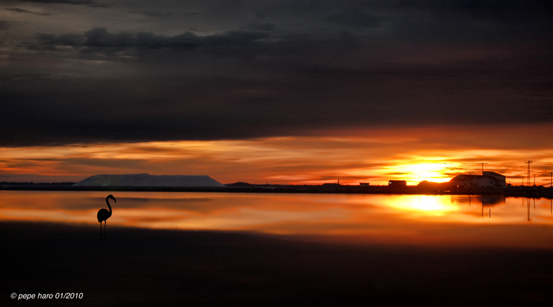 Amanece en las salinas...