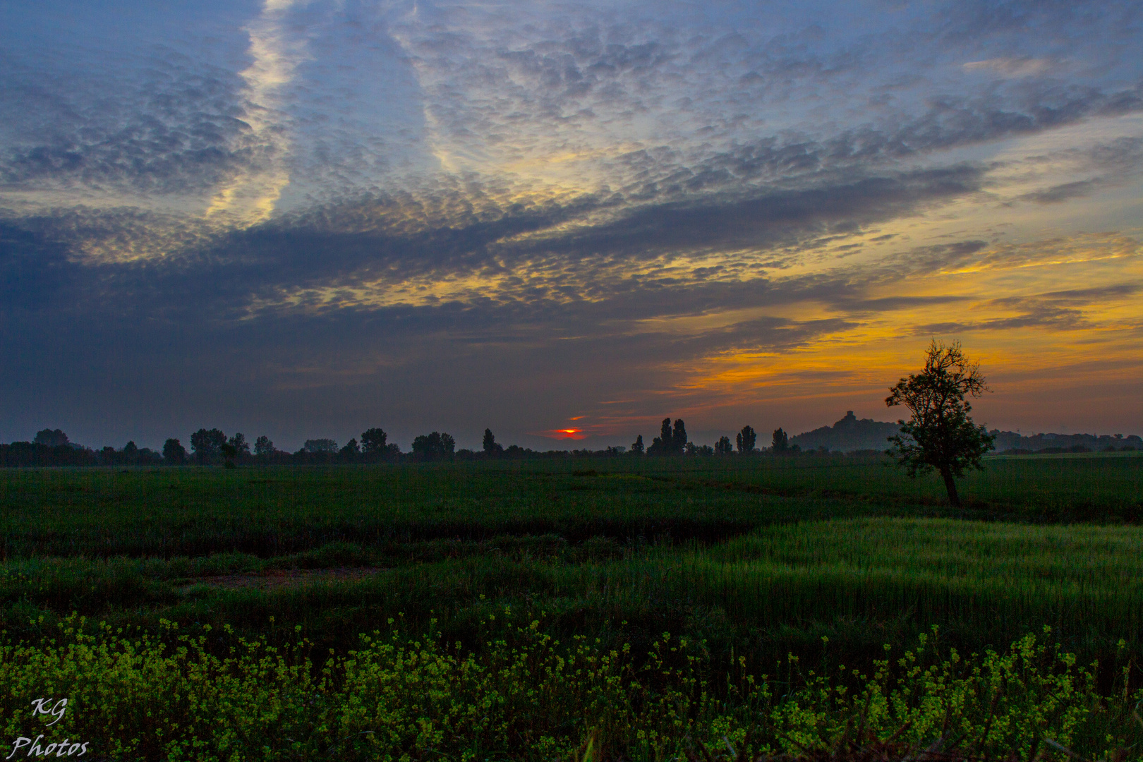 Amanece en MENDOZA ( ALAVA )