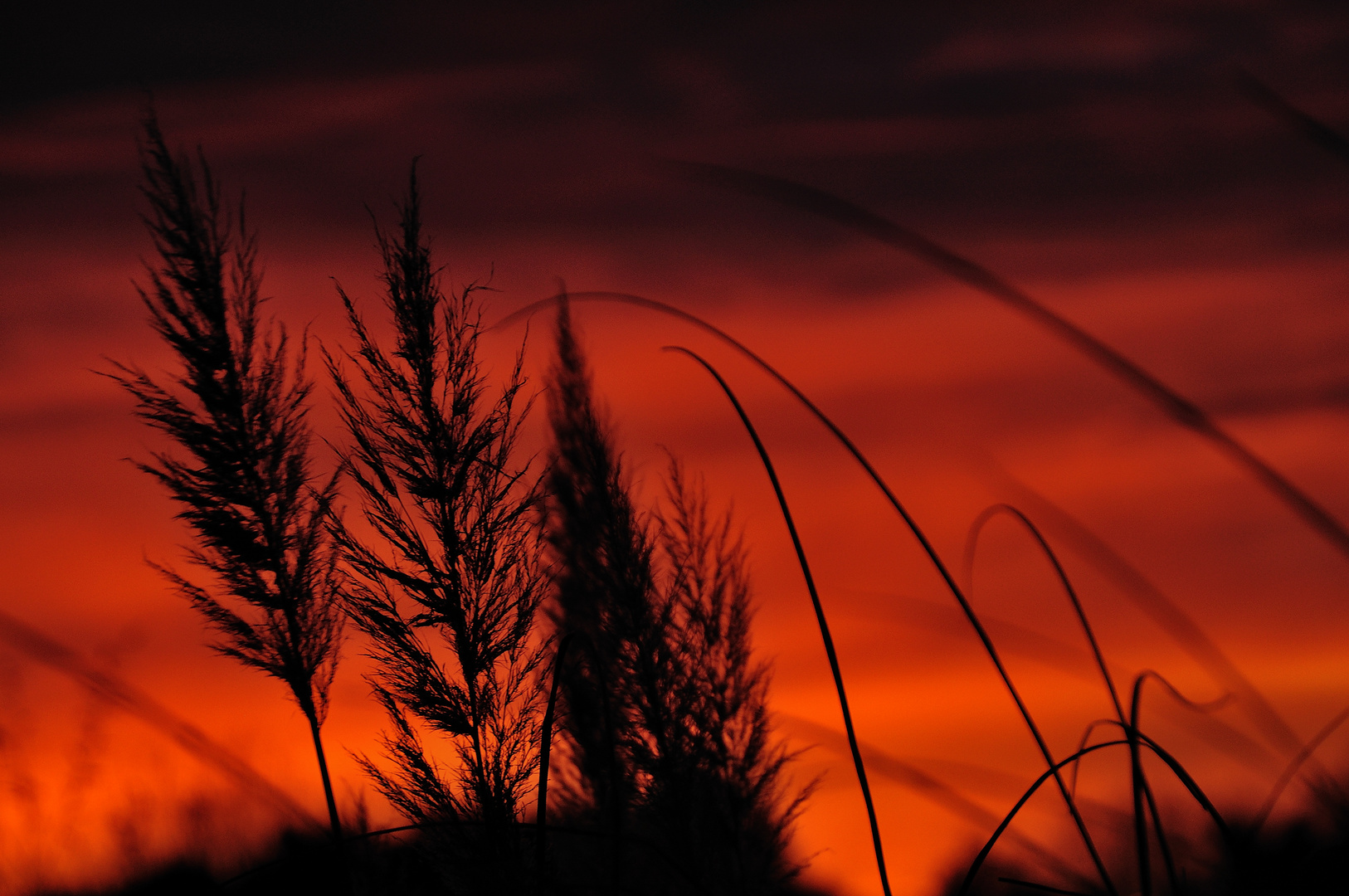 Amanece en rojo (13-12-13)