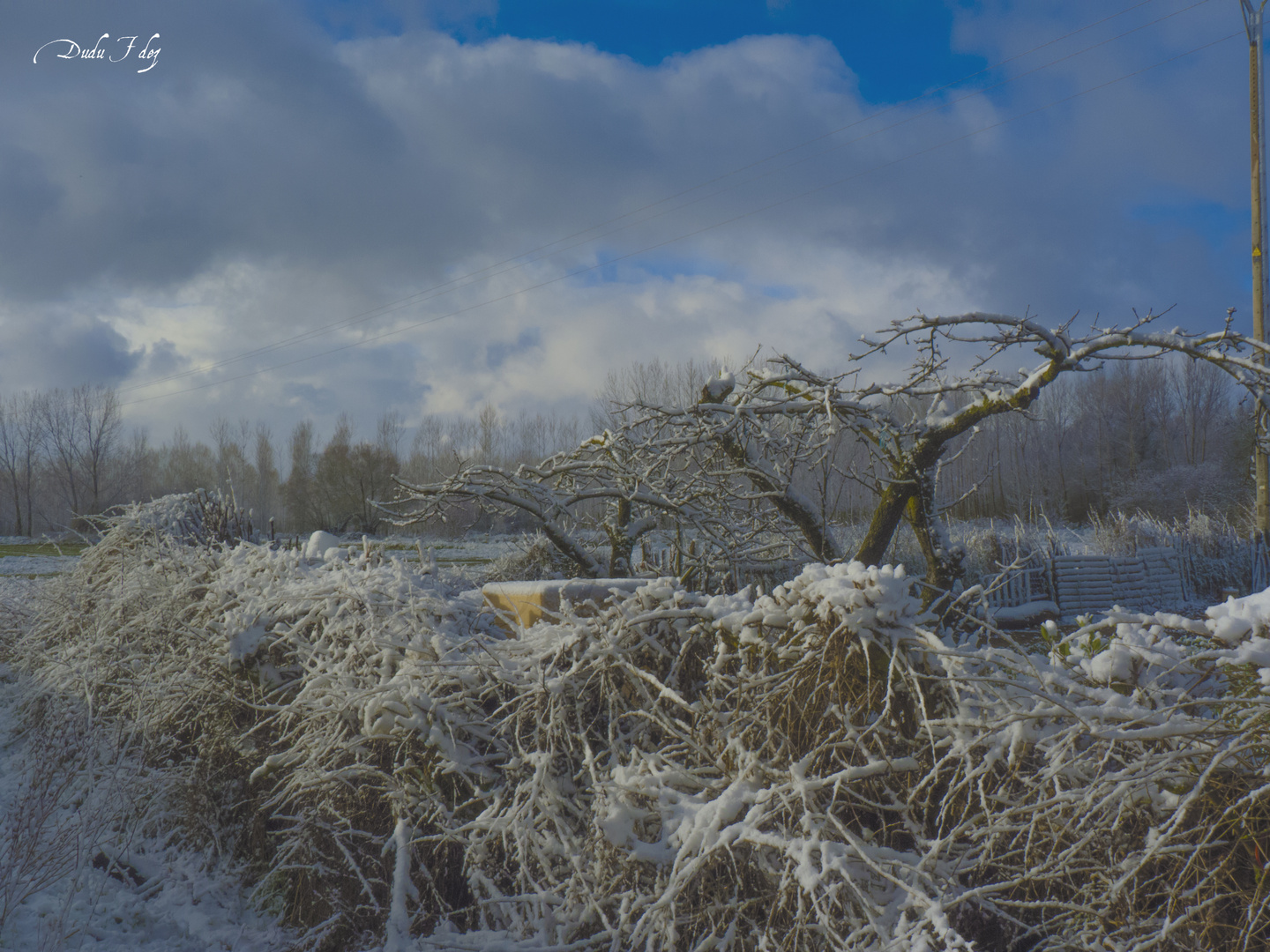 Amanece nevado