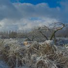 Amanece nevado