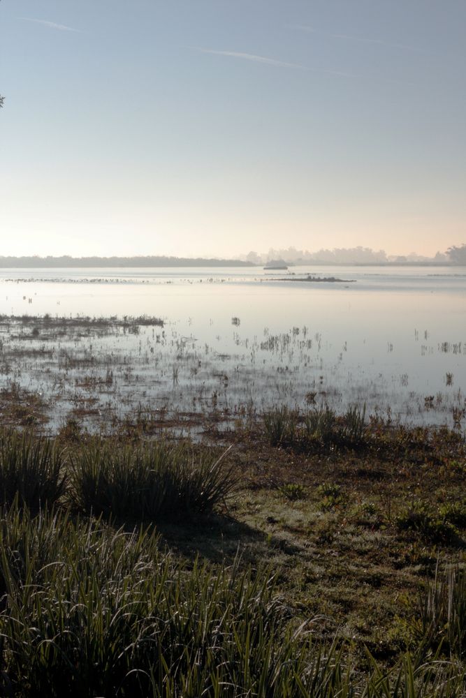 amanece nublado