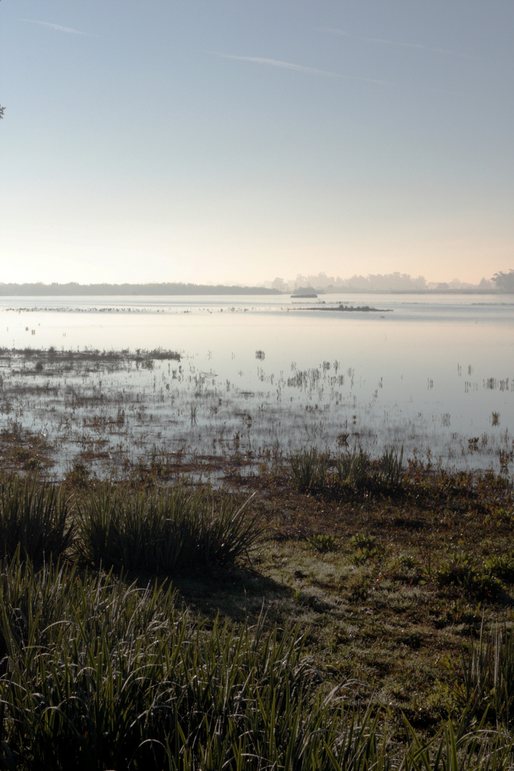 amanece nublado