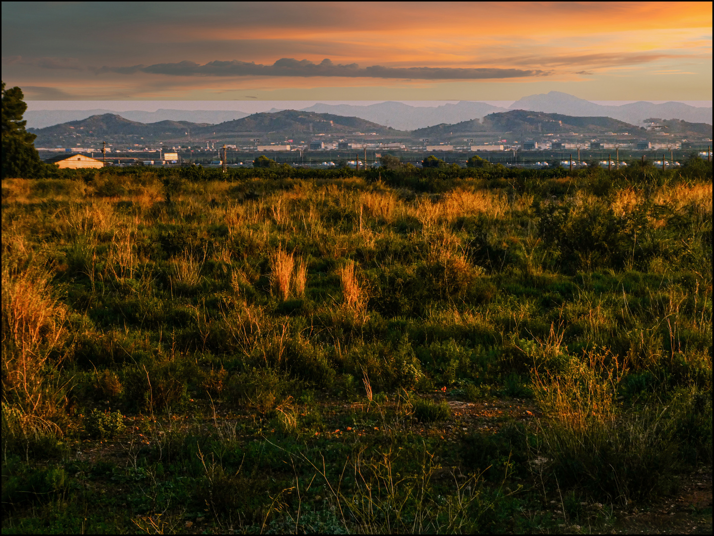 Amanecer