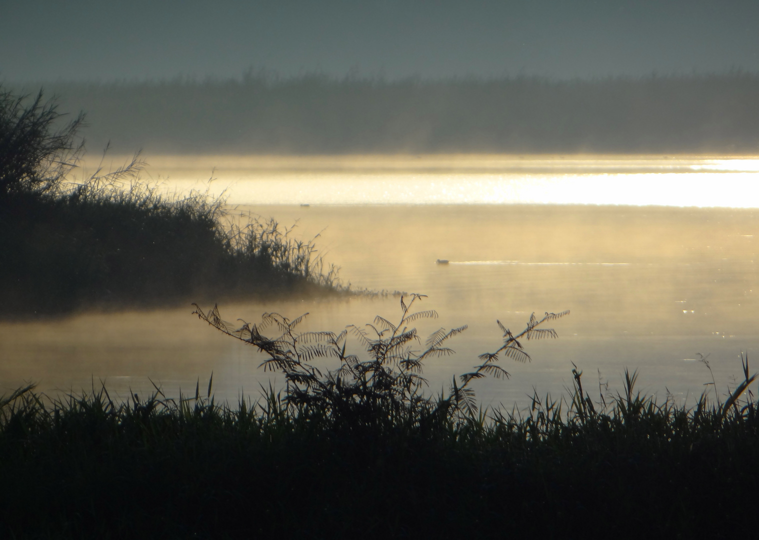 Amanecer