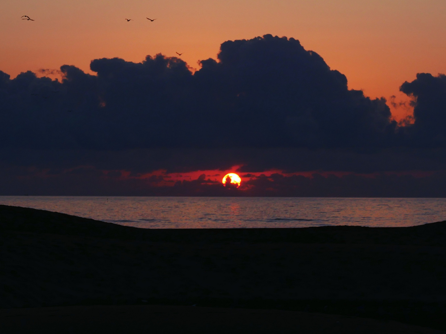 Amanecer al Delta de l'Ebre 