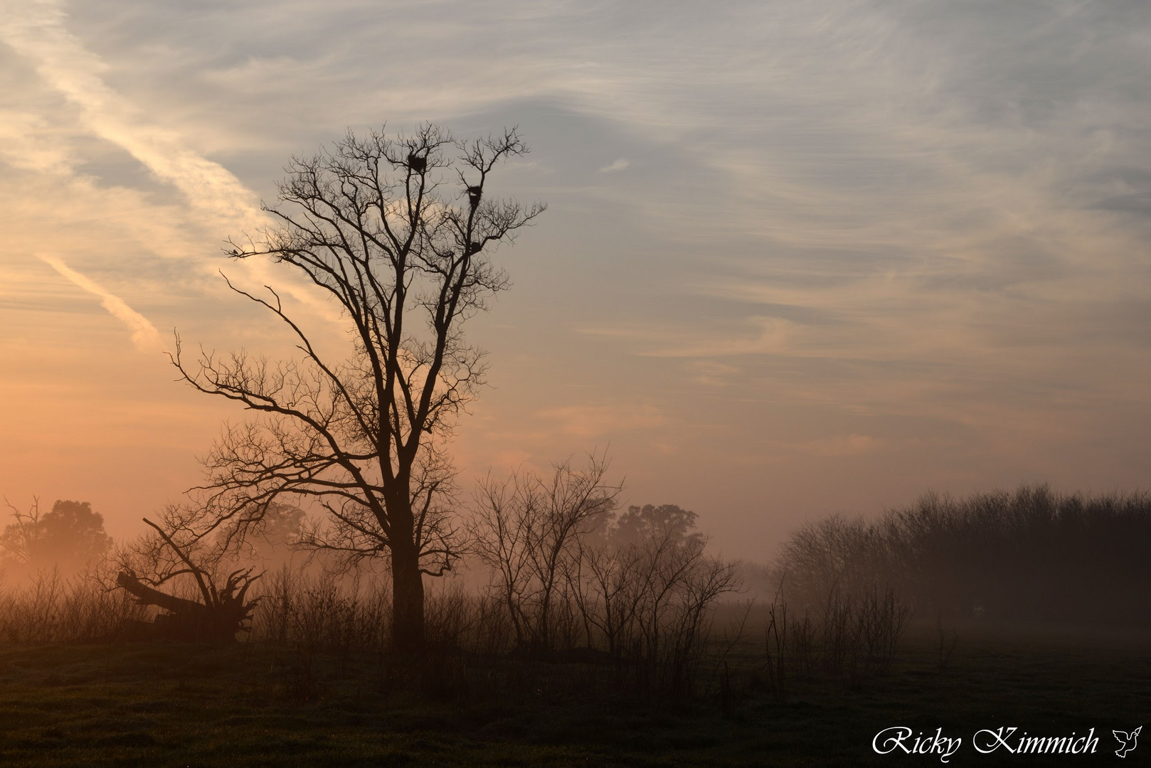 Amanecer con leve niebla 