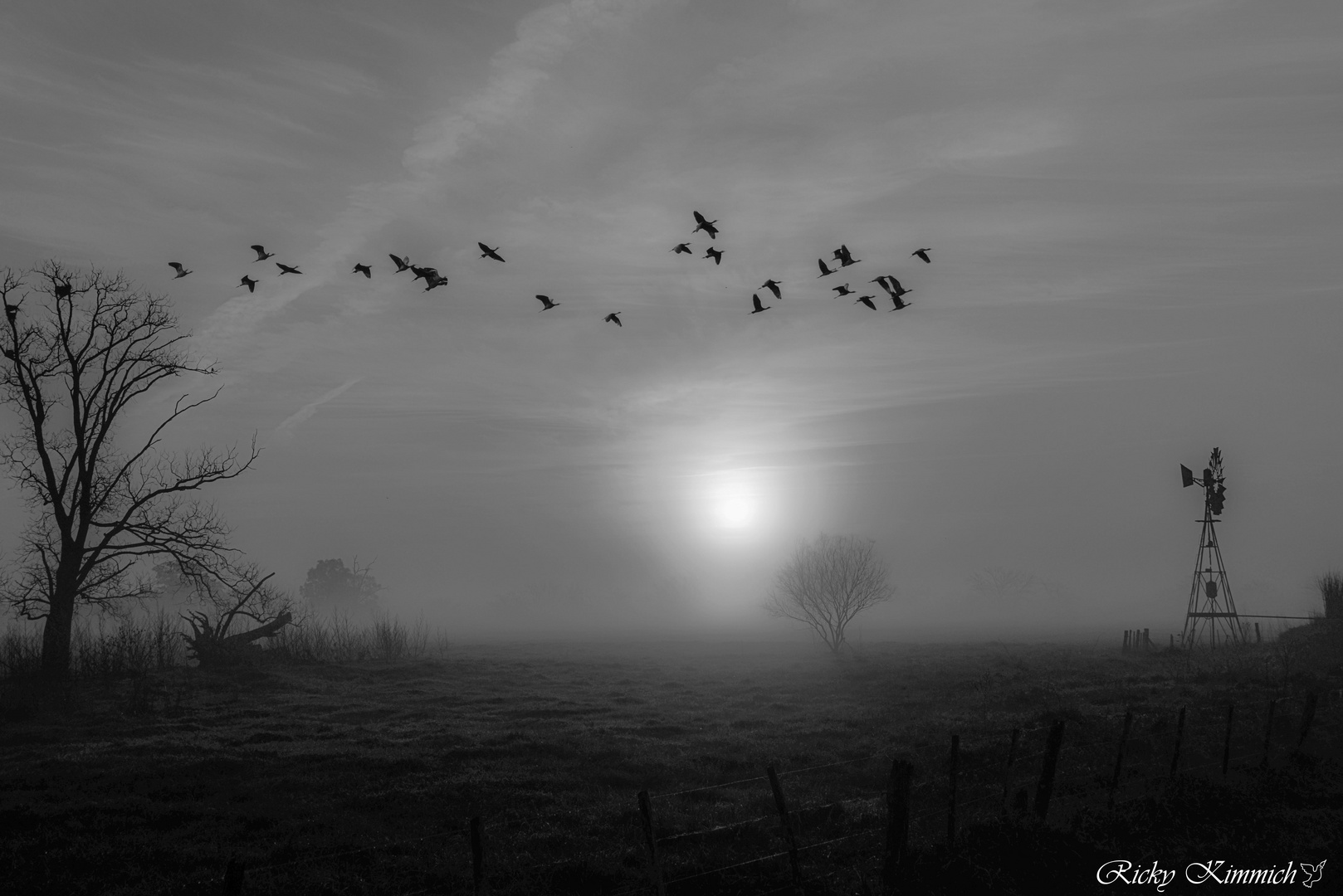 Amanecer con Niebla