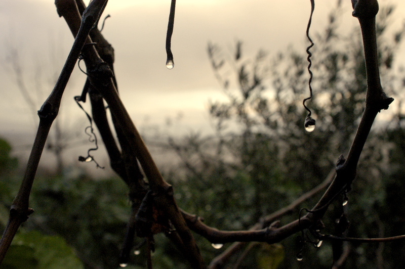 Amanecer de lluvia