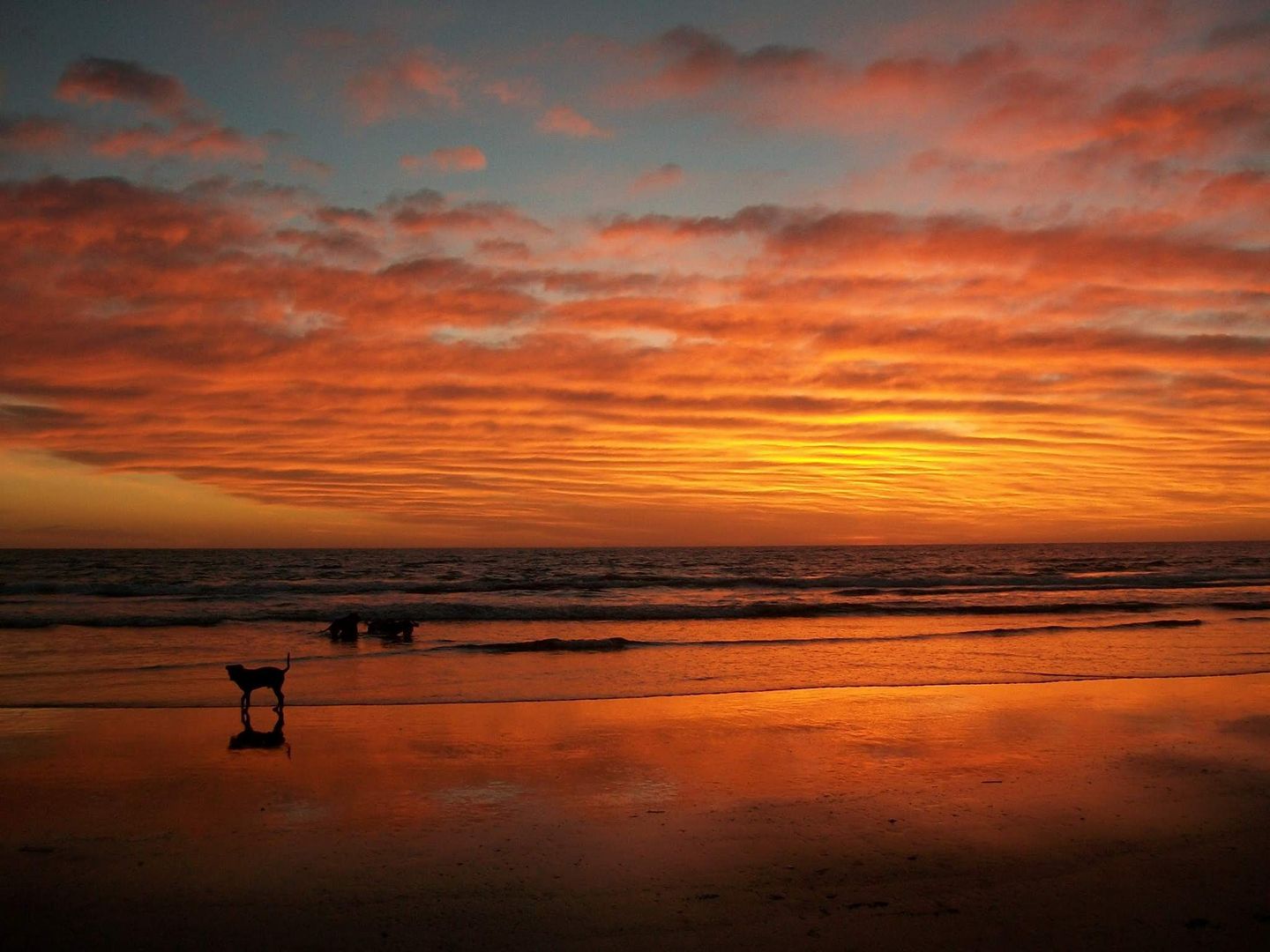 AMANECER DE PLAYA