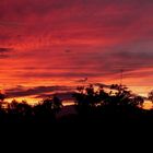 amanecer desde mi ventana