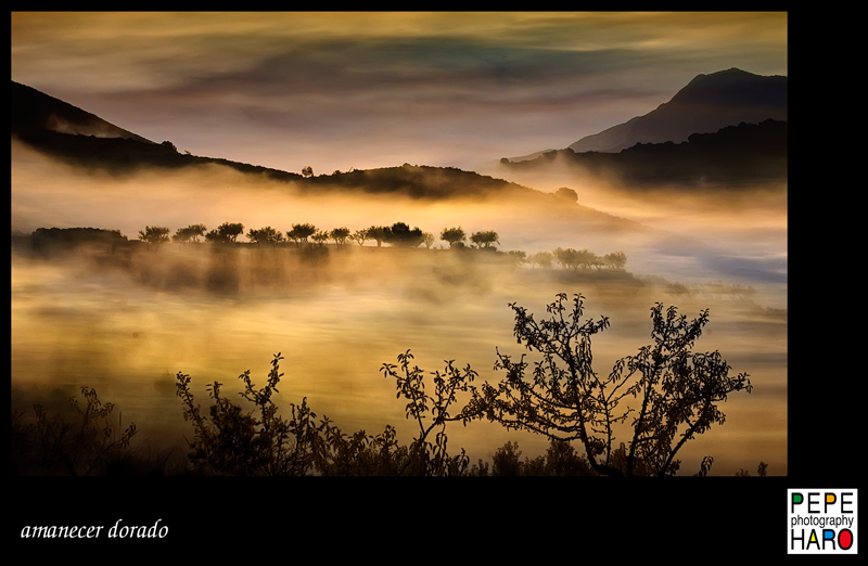 amanecer dorado