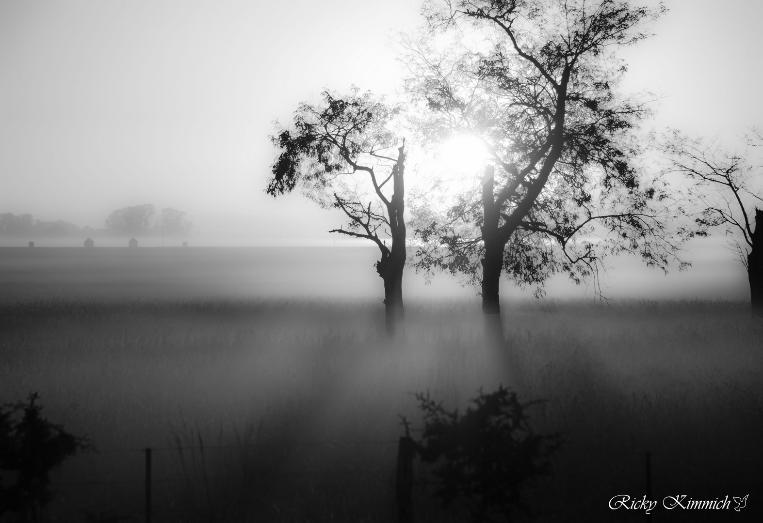 Amanecer durante el viaje 