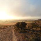 amanecer en Atapuerca