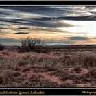 Amanecer en Belchite 3