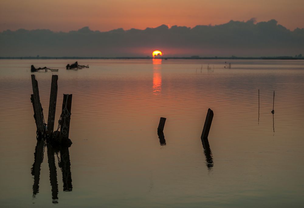 Amanecer en el delta 2