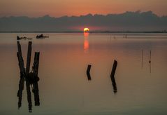 Amanecer en el delta 2