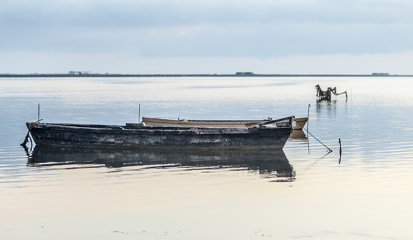 Amanecer en el delta 3