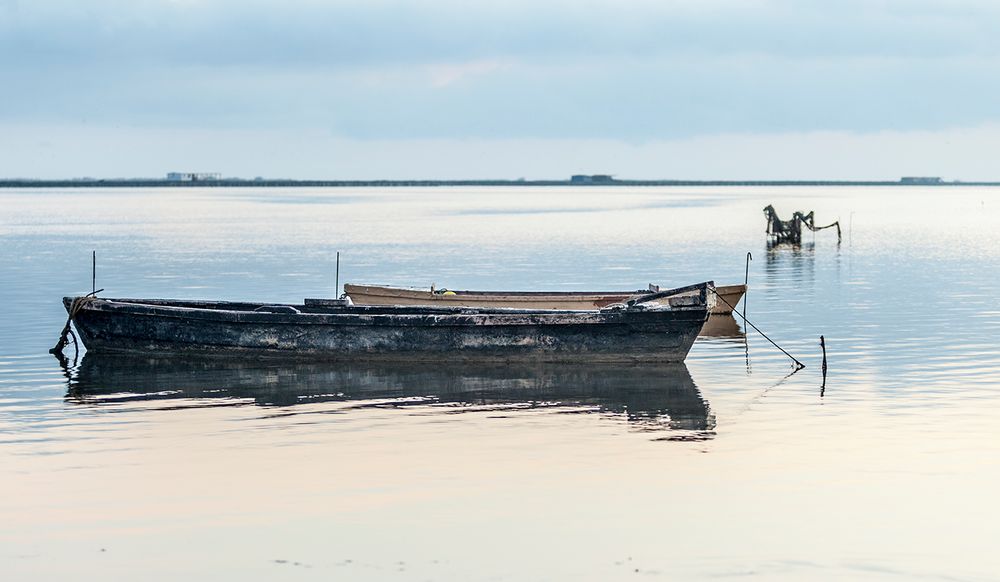 Amanecer en el delta 3