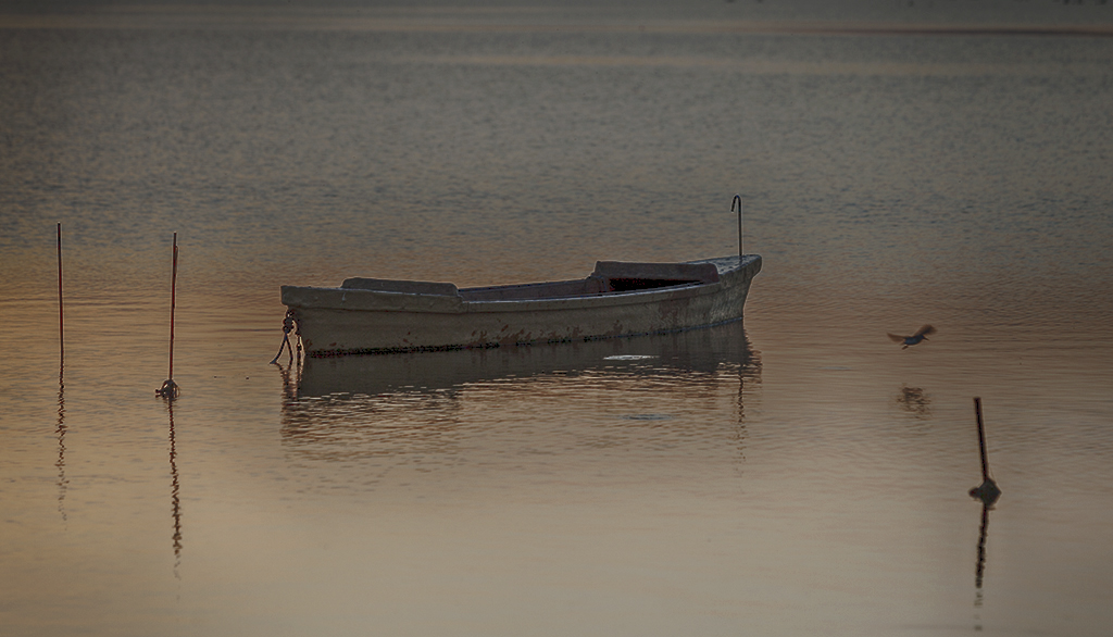 Amanecer en el delta 5