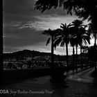 AMANECER EN EL PASEO DE LAS PALMERAS de la Serie CEUTA ESPACIOS COMPARTIDOS