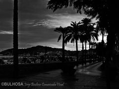 AMANECER EN EL PASEO DE LAS PALMERAS de la Serie CEUTA ESPACIOS COMPARTIDOS