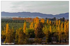 Amanecer en el Valle de Zonda