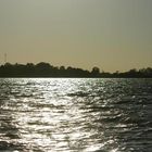 Amanecer en Esteros del Iberá, Provincia de Corrientes (Argentina)