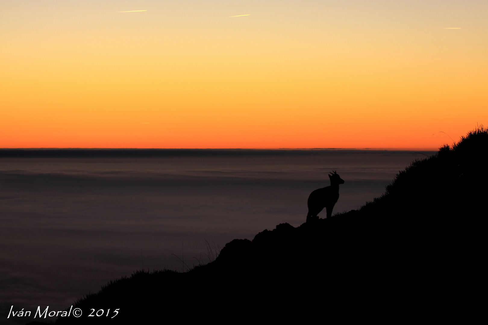 Amanecer en Guadarrama 