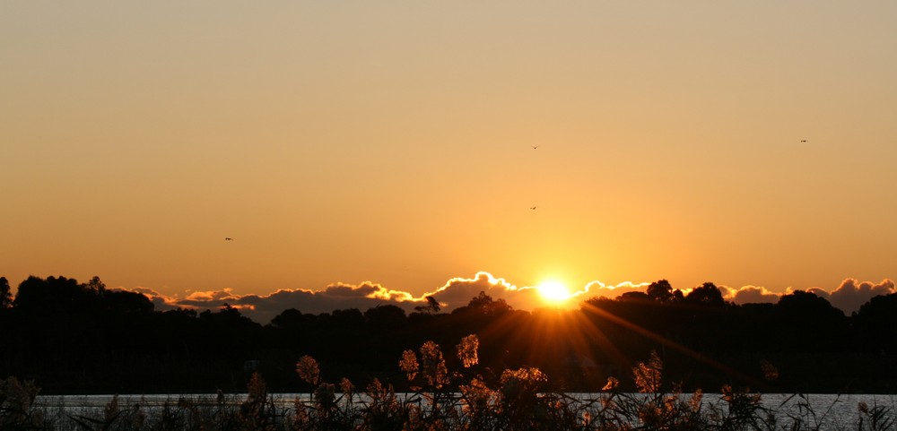 Amanecer en la Albufera