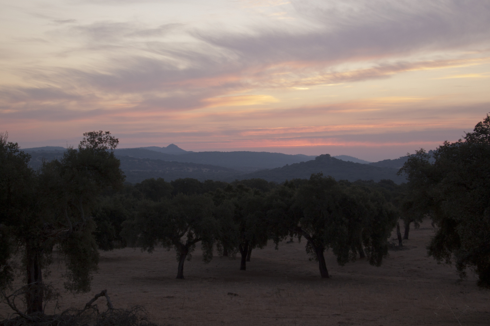 Amanecer en la dehesa