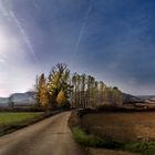 AMANECER EN LA PIEDRA - BURGOS