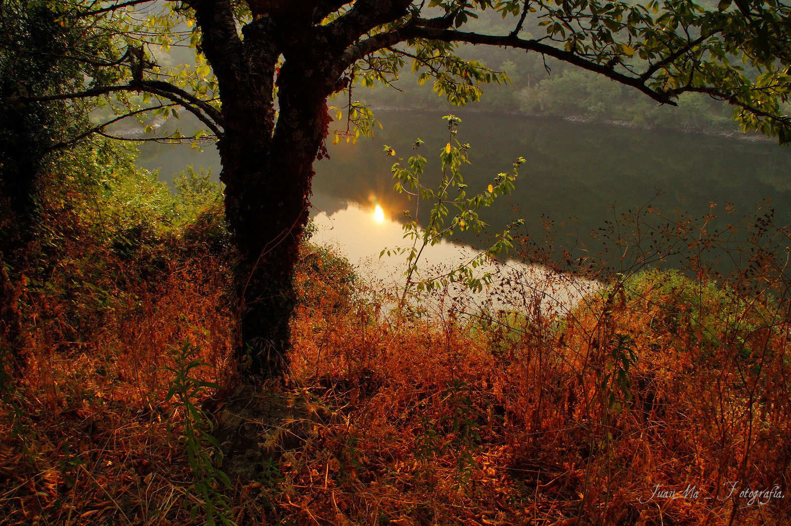 Amanecer en la Rivera del Río Miño: