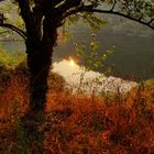 Amanecer en la Rivera del Río Miño: