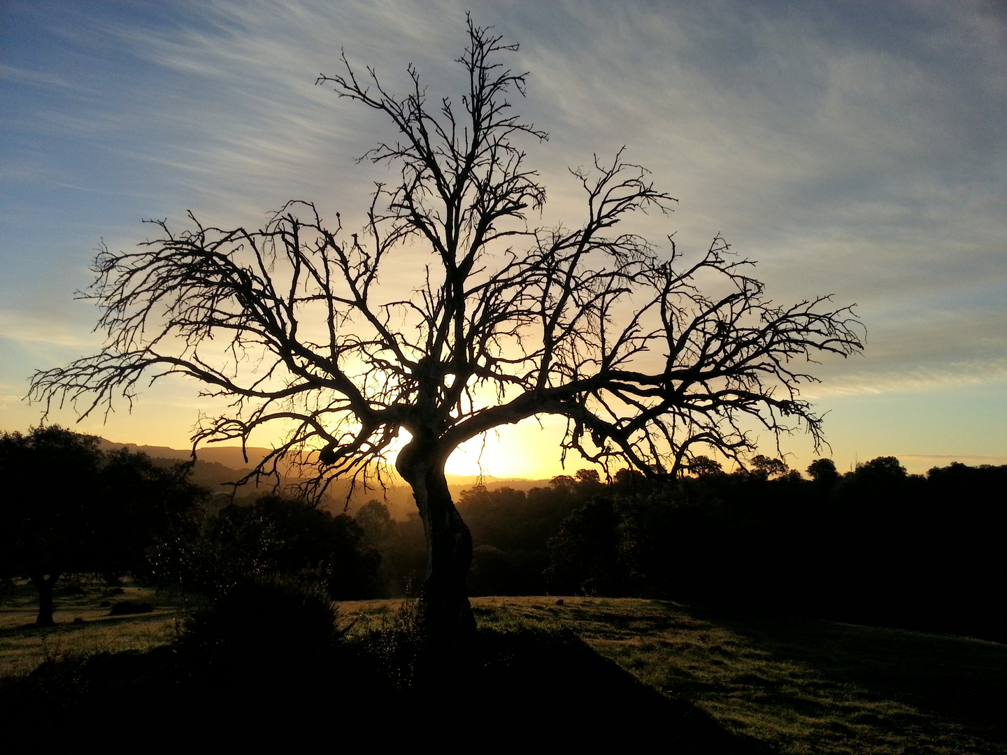 Amanecer en la sierra norte sevillana