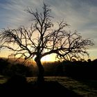 Amanecer en la sierra norte sevillana