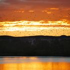 Amanecer en Laguna del Campillo