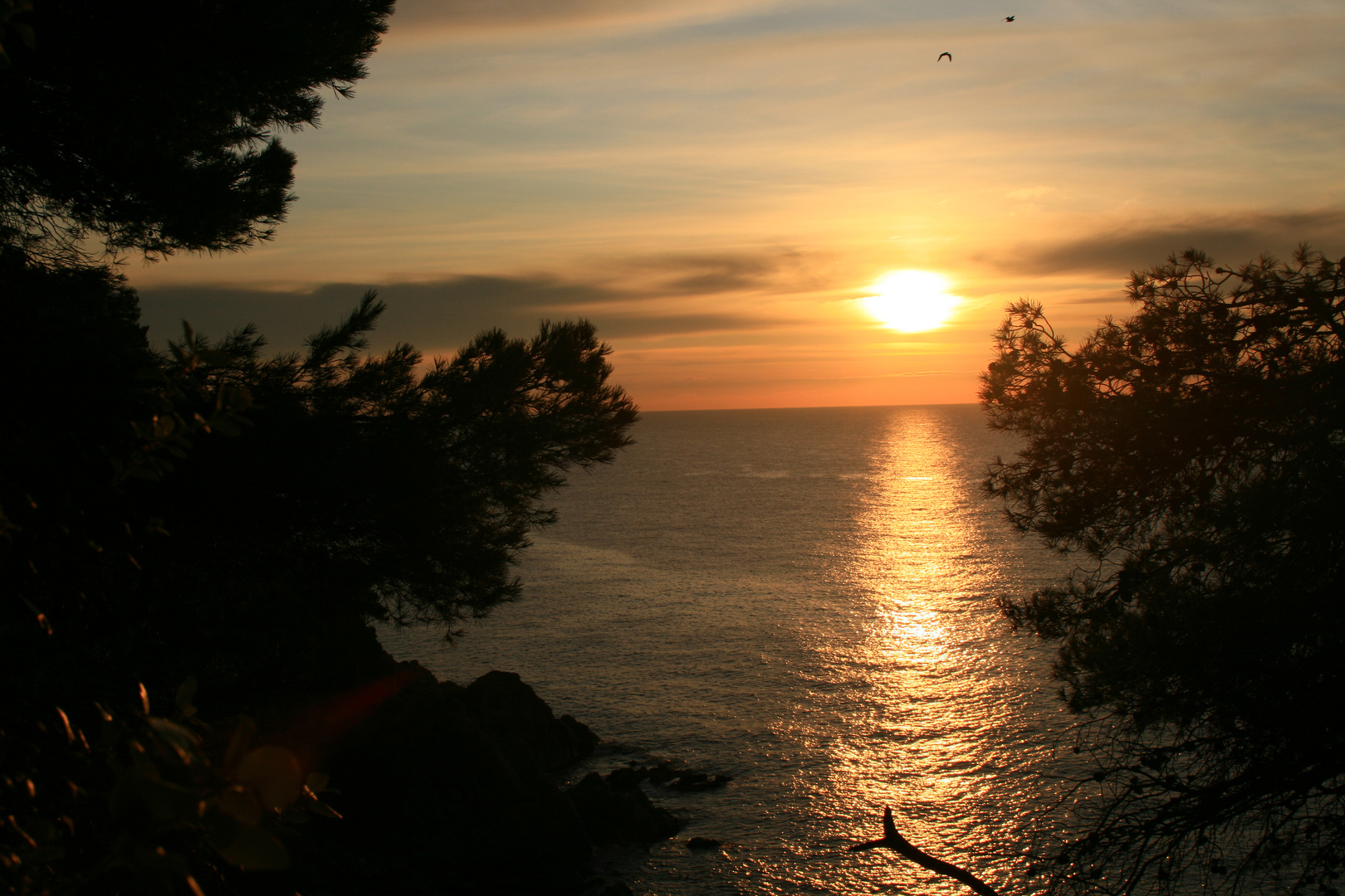 amanecer en lloret 2