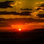 AMANECER EN LOS CAMPOS DE CASTILLA I