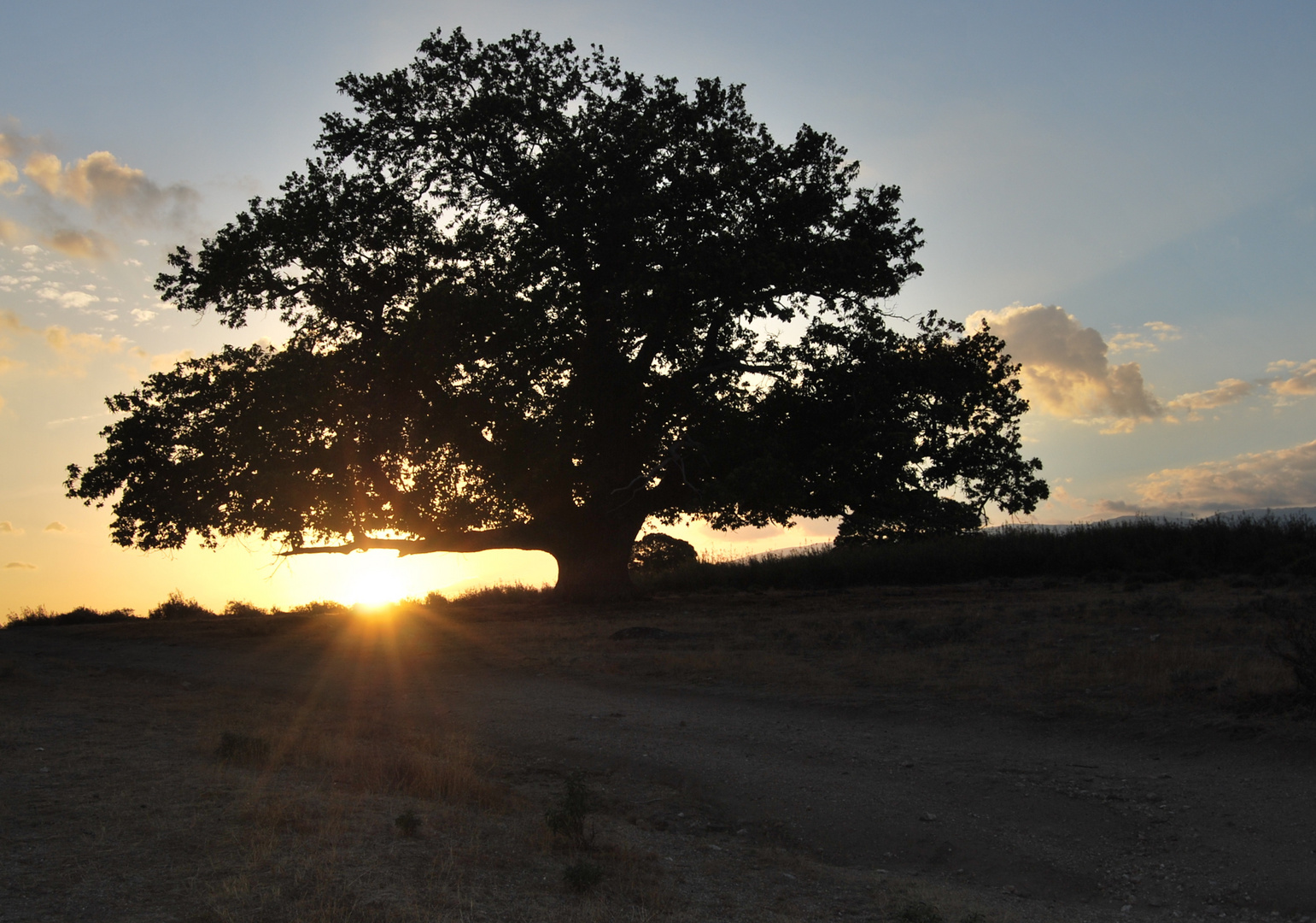 amanecer en los castaños