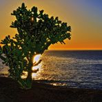 Amanecer en Playa Blanca