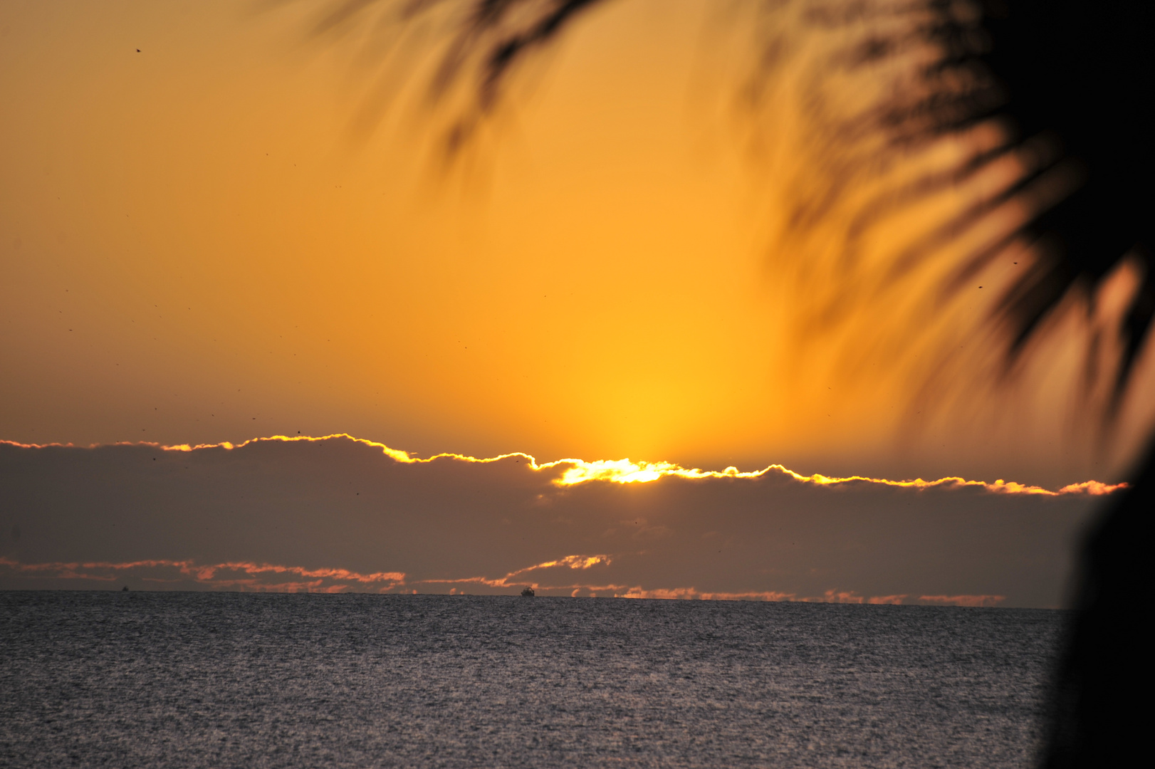 Amanecer en Salou