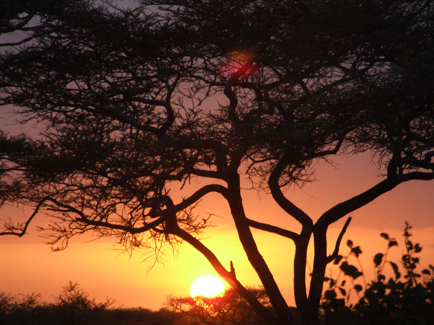 Amanecer en Tanzania